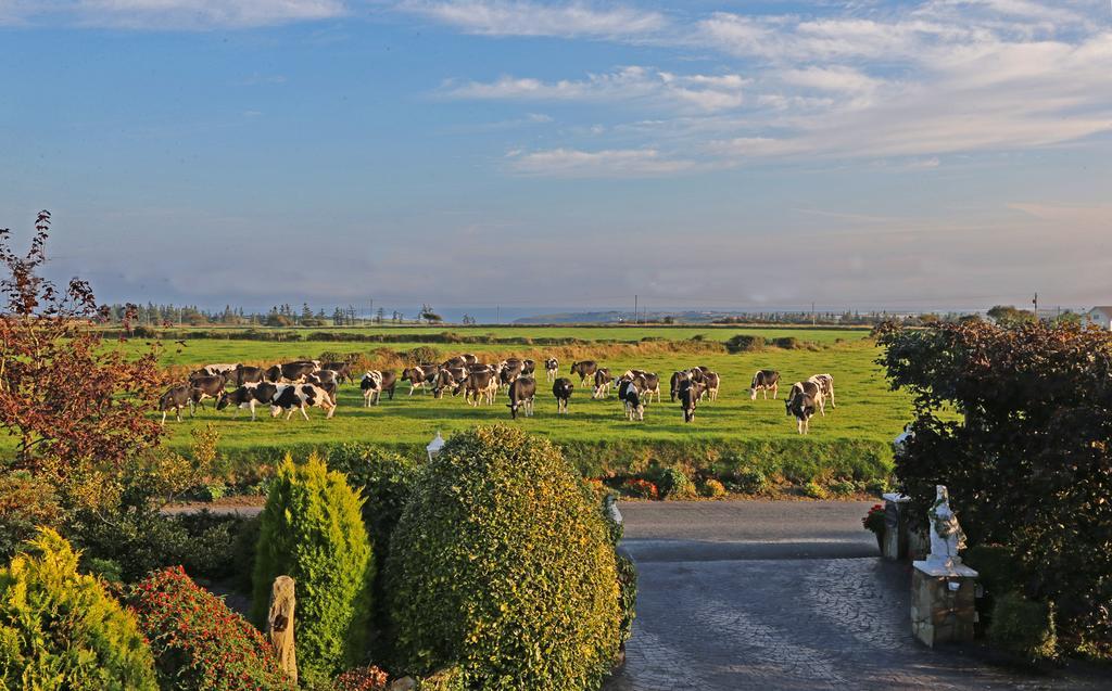 Newtown Farm Country House Hotel Ardmore  Exterior photo